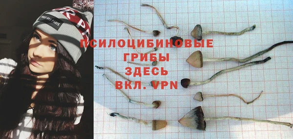 герыч Дмитровск
