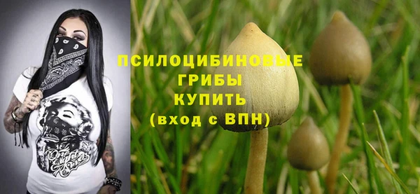 герыч Дмитровск